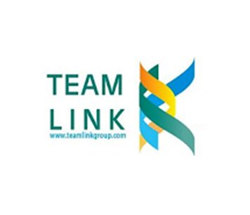 Team Link